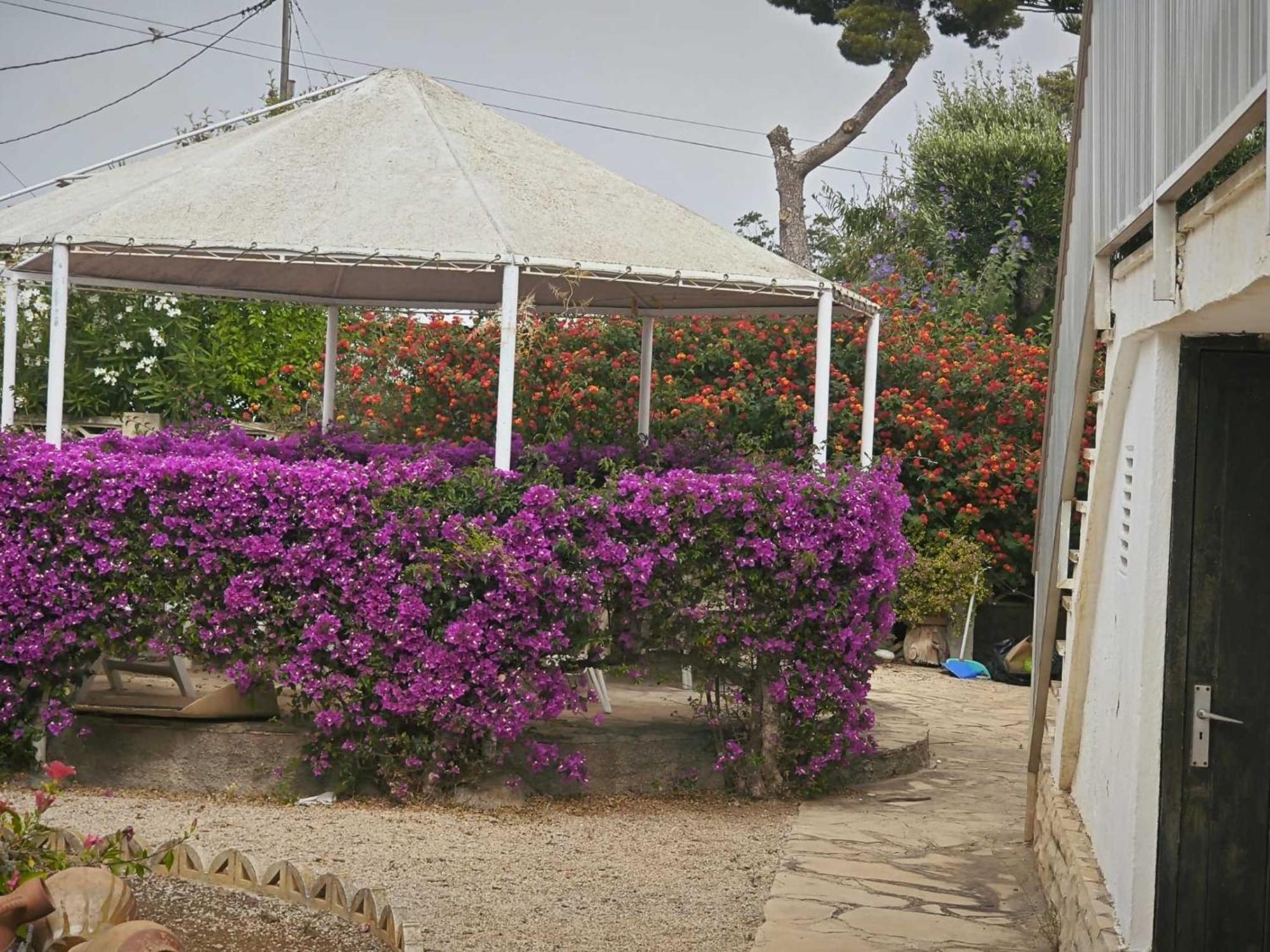 Casa Geminis Vinaros Apartment Exterior photo